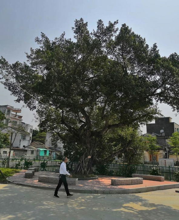 1587029443104007.png image.png