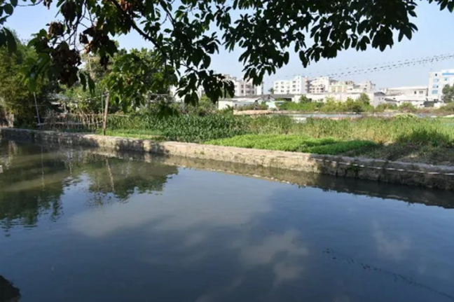 1589535262108956.png image.png