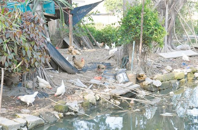 1590048612137094.png image.png