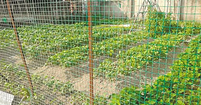 1590653838543749.png 微信截圖_20200528161643.png