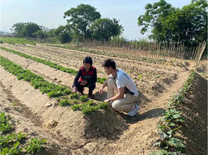 1591858442131677.jpg 49.jpg