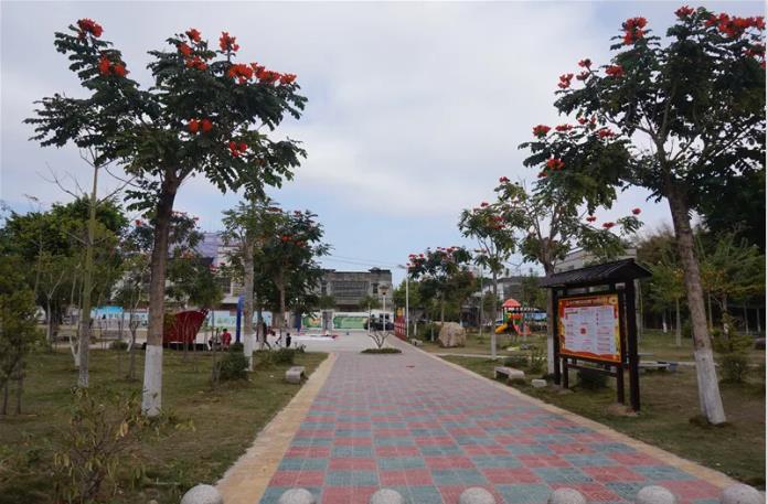 1591858470671252.jpg 50.jpg