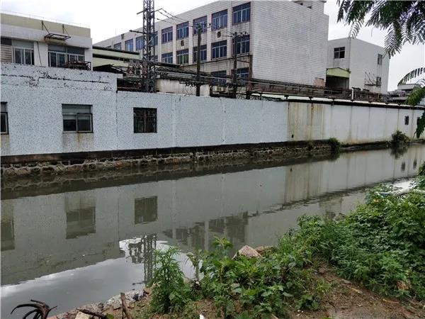 1591952516833998.jpg 1.jpg