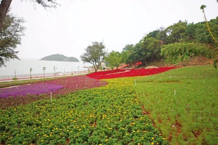 1591953658408113.jpg 3.jpg