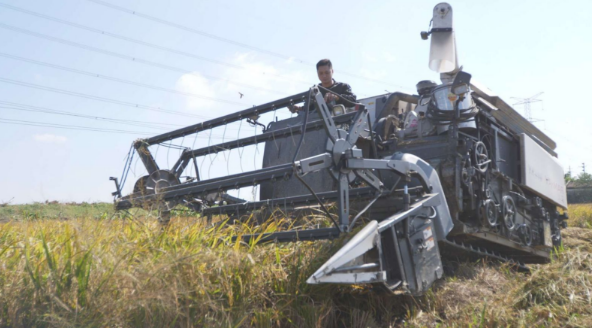 1609909646272003.png 22.png