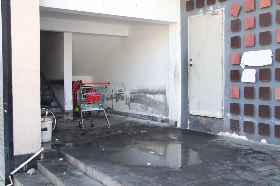 1613638883425756.jpg 1613638883425756.jpg