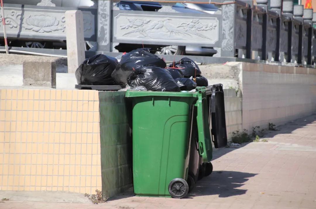 1613638991103190.jpg 1613638991103190.jpg