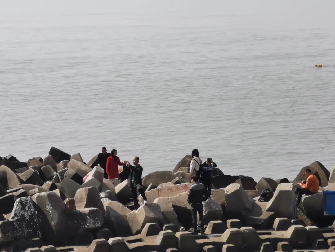 1614006520587857.jpg 1614006520587857.jpg