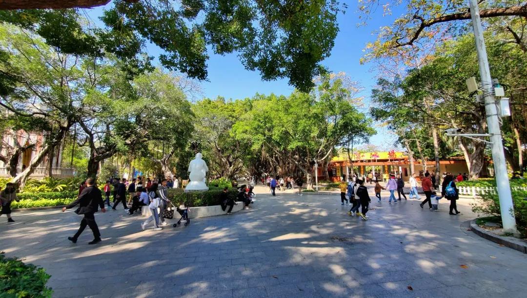 1614006543811923.jpg 1614006543811923.jpg