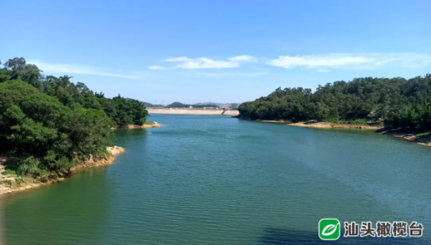 1625646347688121.png 2.png