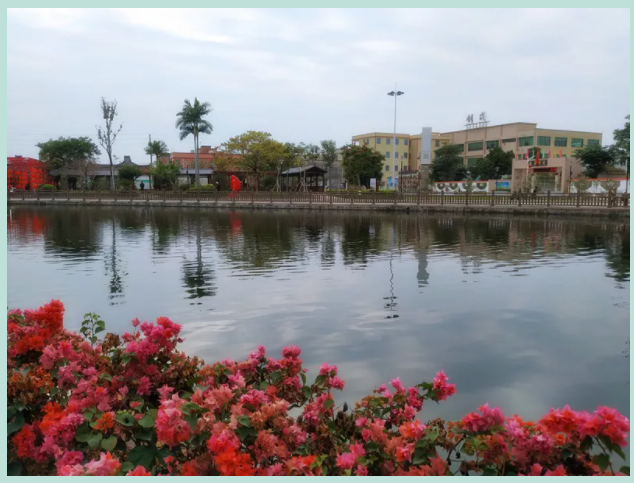 1625713054547321.png 2.png