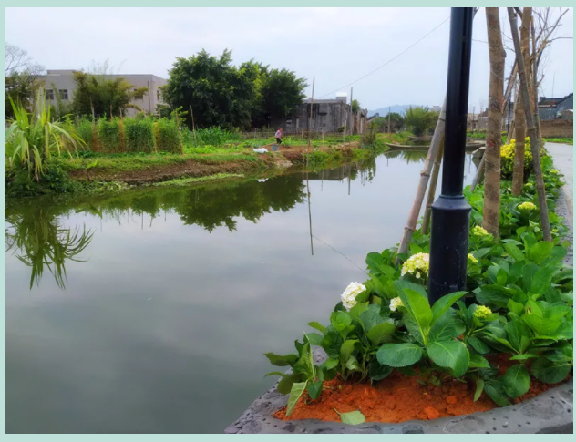 1625713095146394.png 5.png