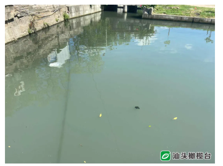 1626149115118888.png 2.png