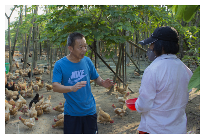 1626666768100160.png 3.png