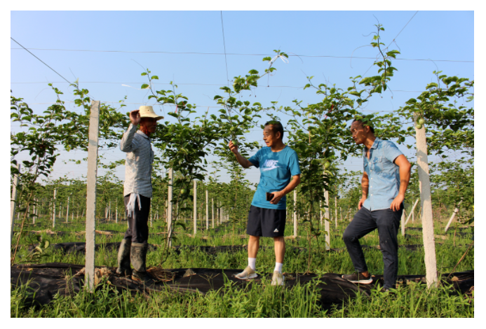 1626666778100526.png 4.png