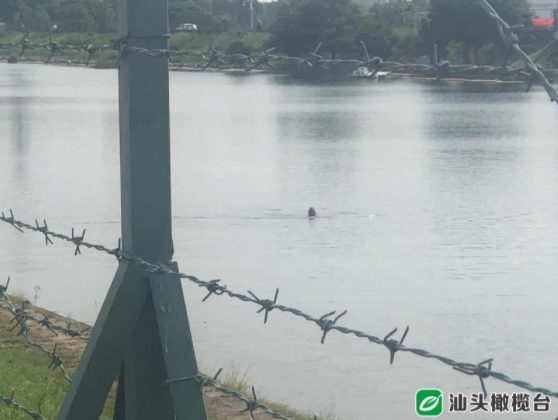 1627548962574130.png 2.png