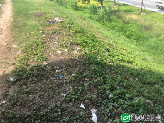 1627548973984653.png 3.png