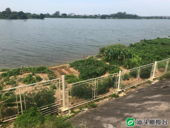 1627548991517371.png 5.png