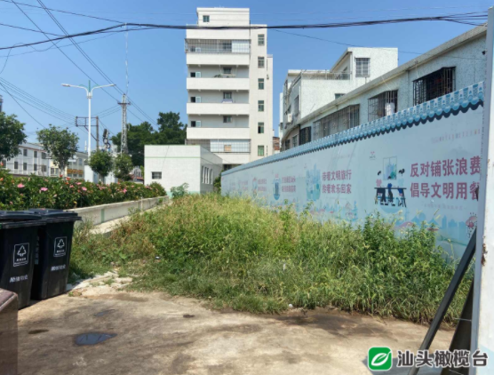 1627608667118668.png 8.png