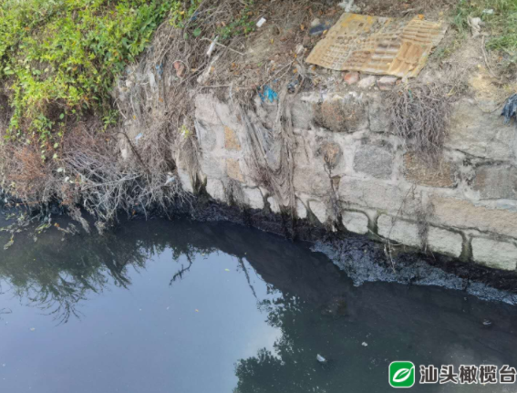 1627870055449380.png 4.png