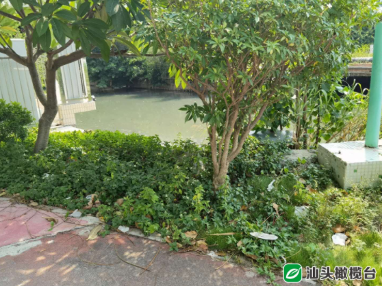 1627870063544352.png 3.png