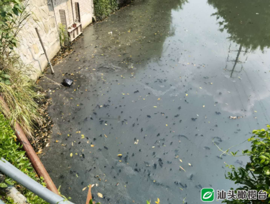 1627870071566642.png 2.png