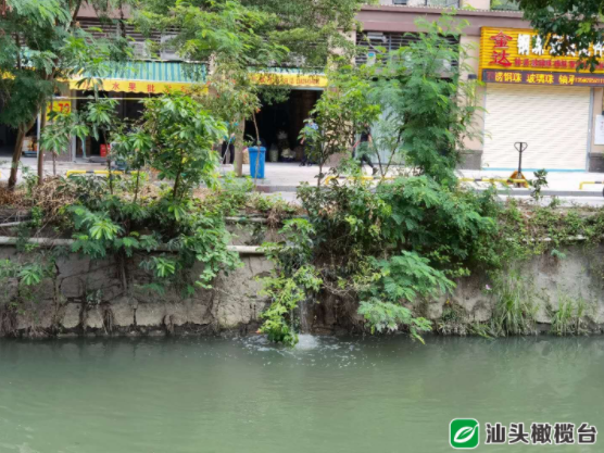 1627870079136690.png 1.png