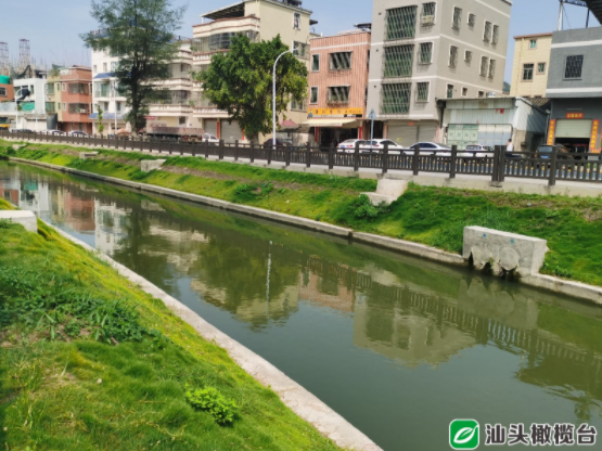 1627954168140498.png 1.png