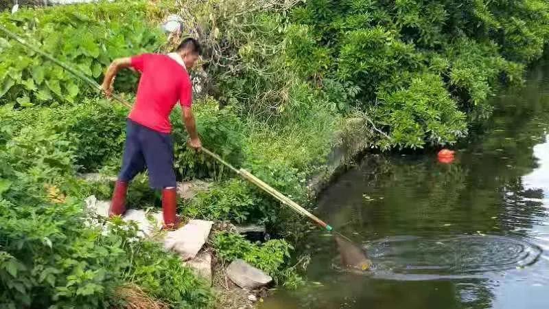 1628477236309613.jpg 3.jpg