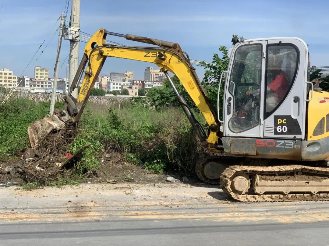 1628477266823972.jpg 5.jpg