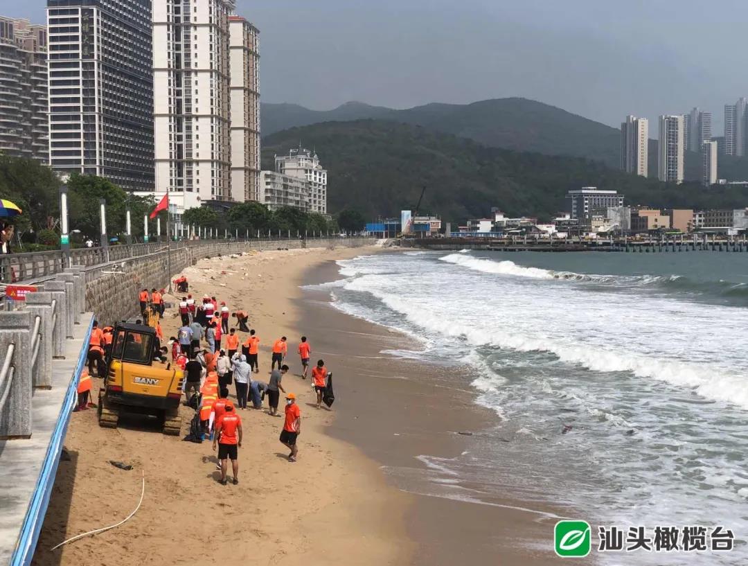 1628477585662259.jpg 3.jpg