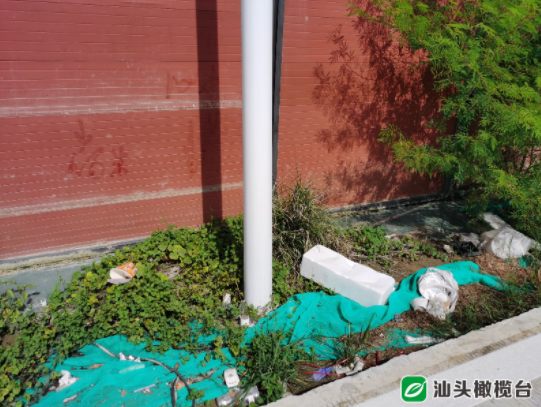 1628562145107226.png 2.png