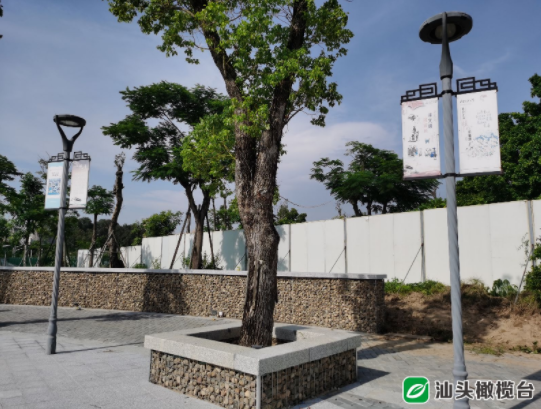 1628562183377819.png 5.png