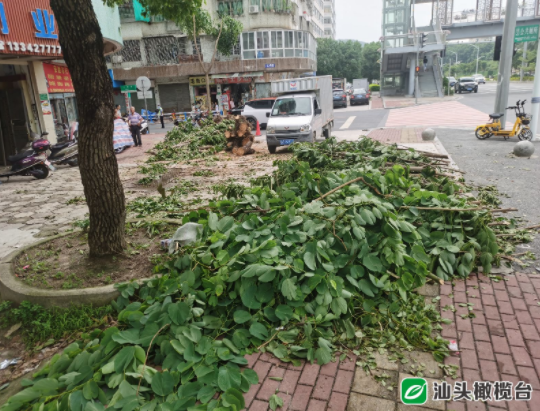 1628562263492369.png 11.png