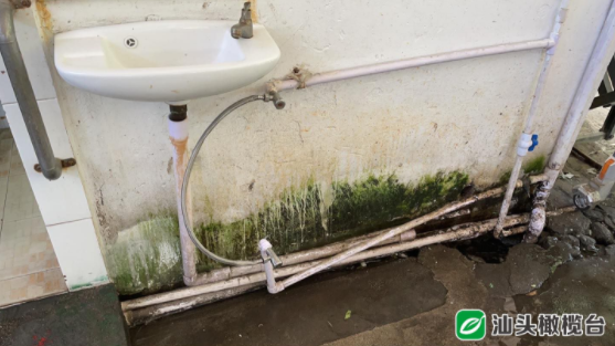 1629339551242441.png 4.png