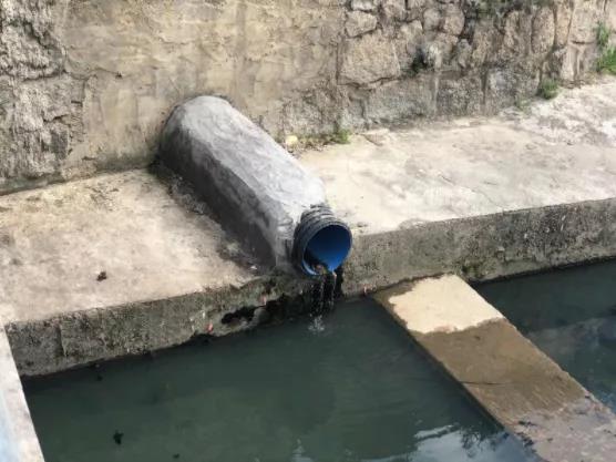 1629690938104382.jpg 1.jpg