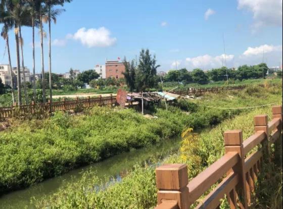 1629691009150869.jpg 3.jpg