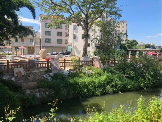 1629691024112553.jpg 4.jpg