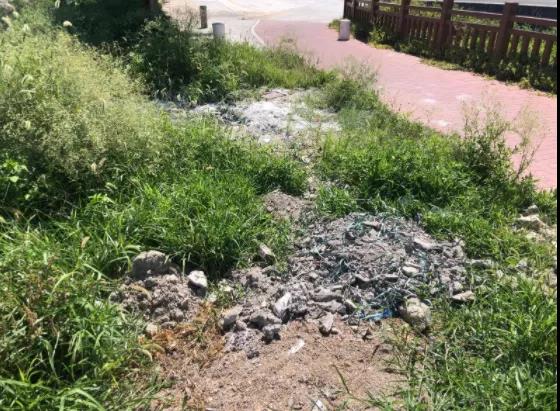 1629691040603606.jpg 5.jpg