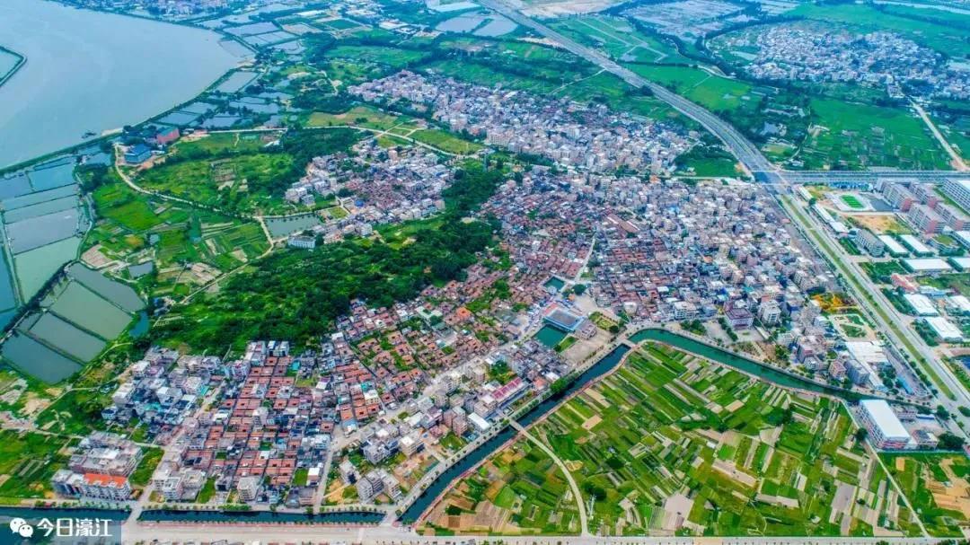 1629692894961330.jpg 1.jpg