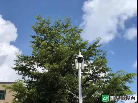 1630294838517285.jpg 4.jpg