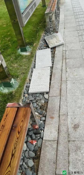 1630547382804823.jpg 2.jpg