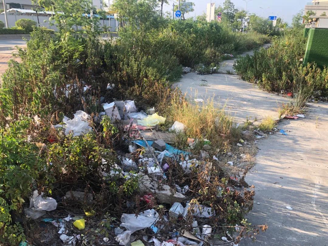 1630902544826210.jpg 2.jpg