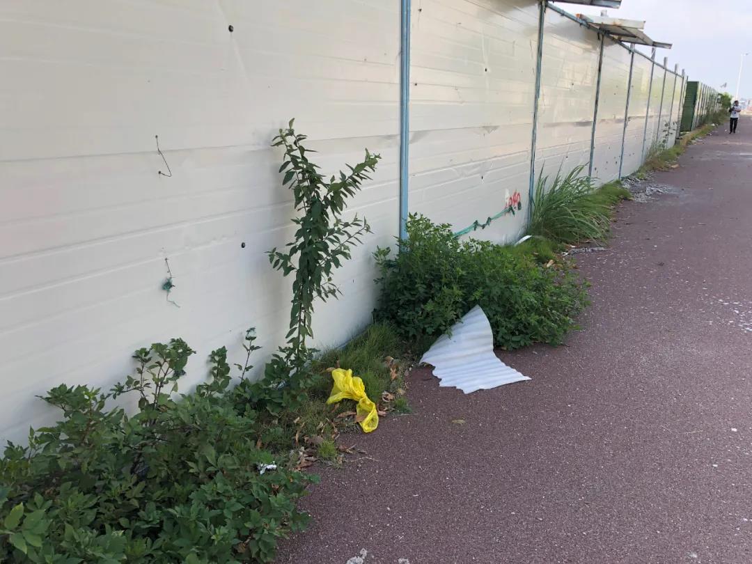 1630902554473564.jpg 3.jpg