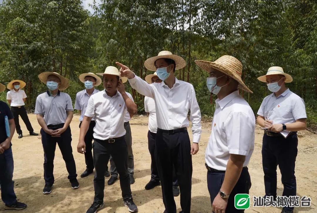 1631152458137563.jpg 7.jpg