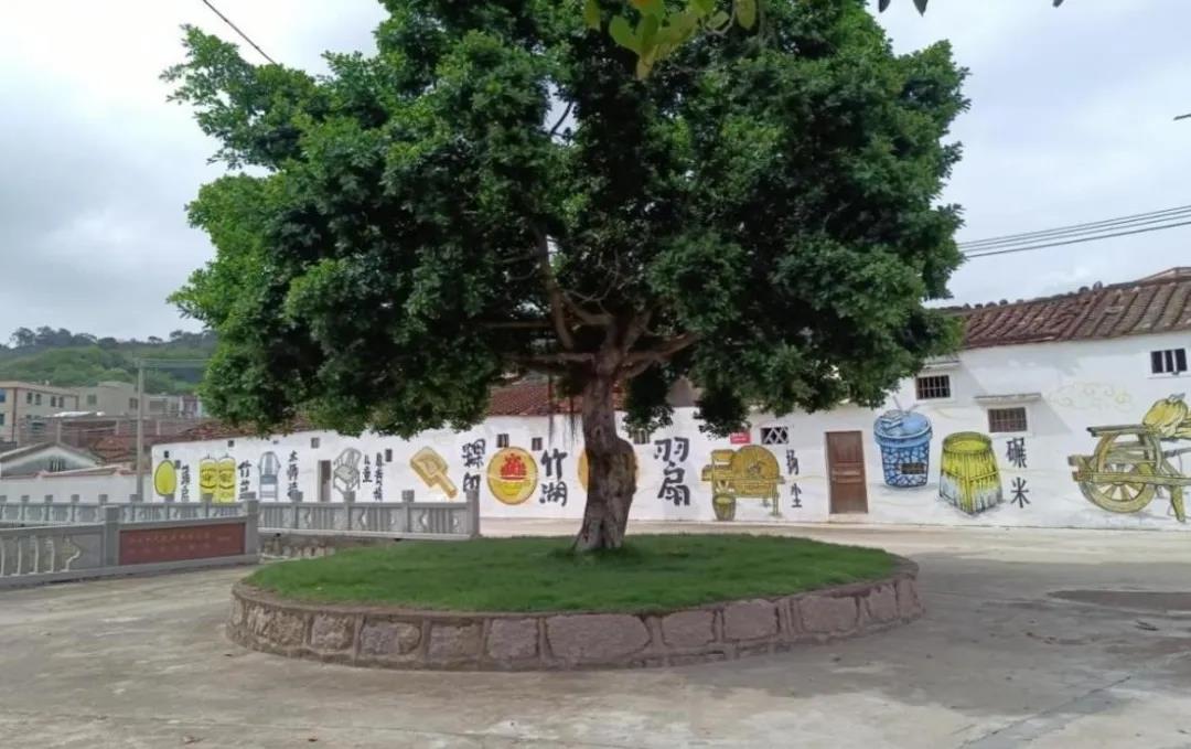 1631673712493058.jpg 3.jpg