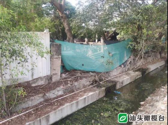 1633657909128987.jpg 2.jpg