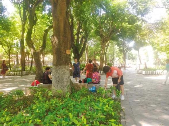 1633665726100384.jpg 1.jpg