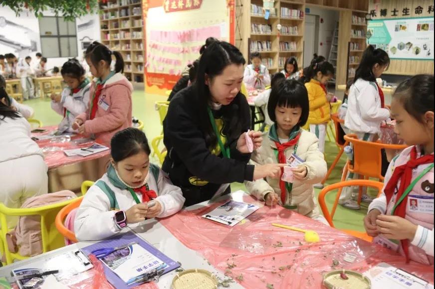 1634091192642808.jpg 6.jpg