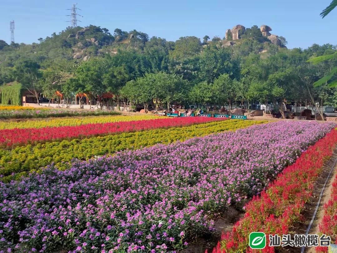 1634524441305955.jpg 2.jpg